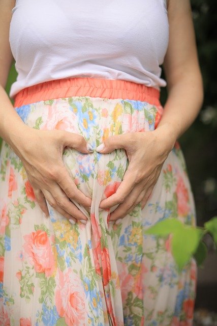 Pregnancy Pregnant Woman - solomia2016shoping / Pixabay