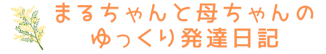 まるちゃんと母ちゃんのゆっくり子育て日記